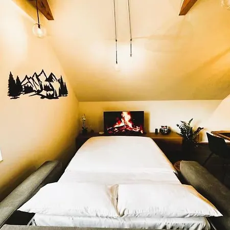Apartman Bedrich Vi.